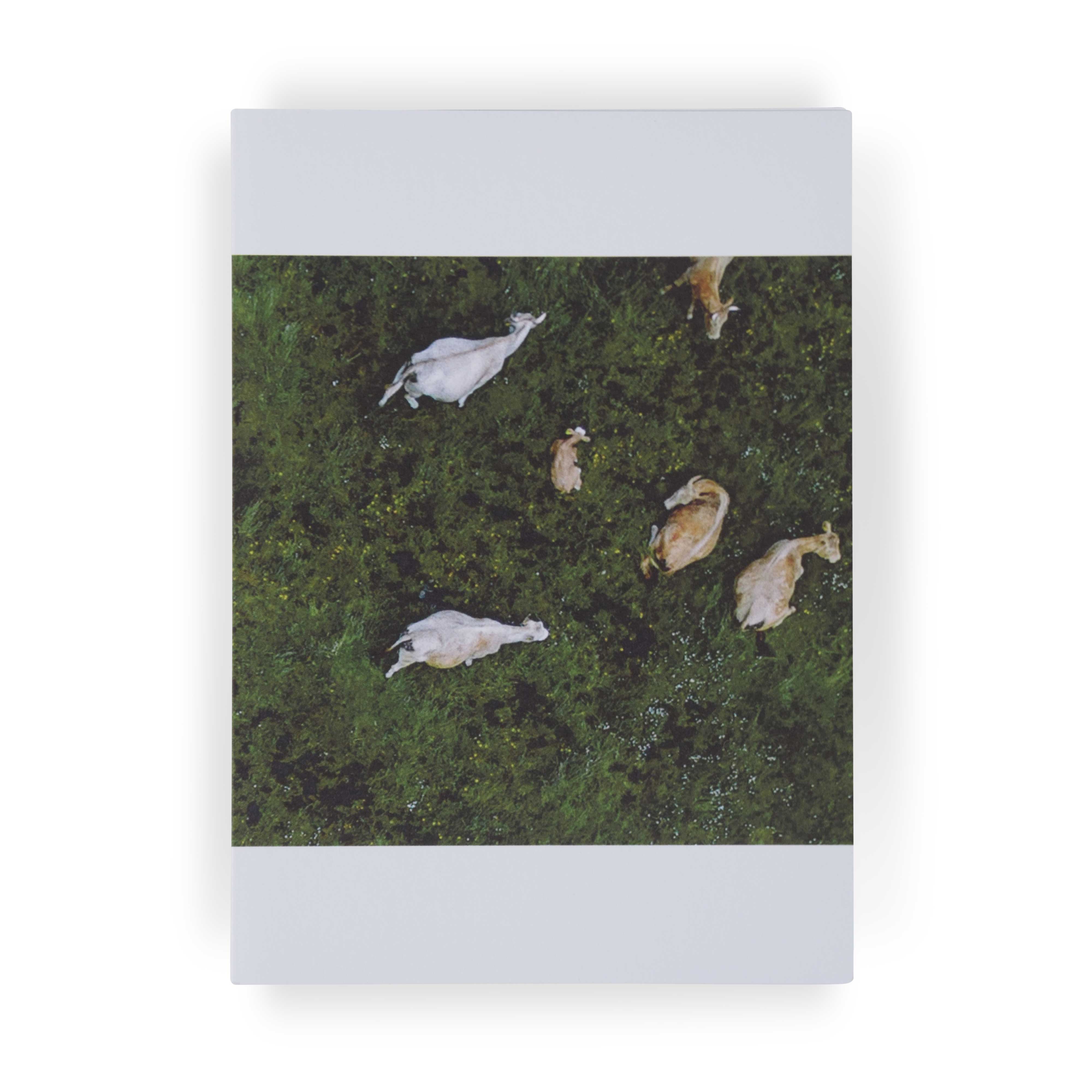 Cows by Philipp Specht: 3 Notecards