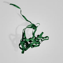 Plantas Ribbon Set