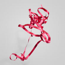 Poolhouse Ribbon Set