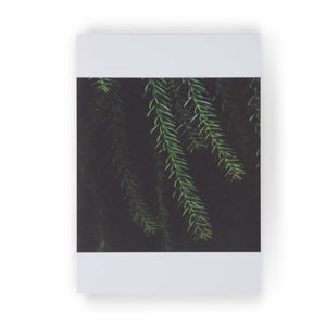 Plantas I by Theresia Koch: 3 Notecards