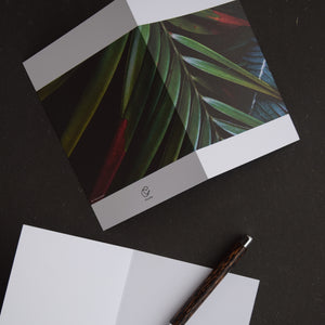 Plantas III by Theresia Koch: 3 Notecards